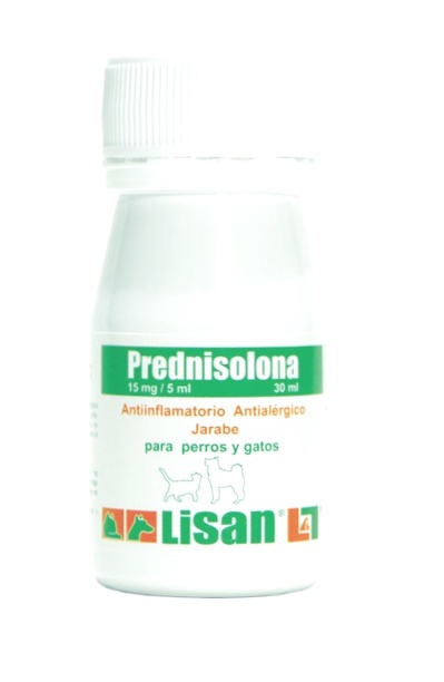prednisolona